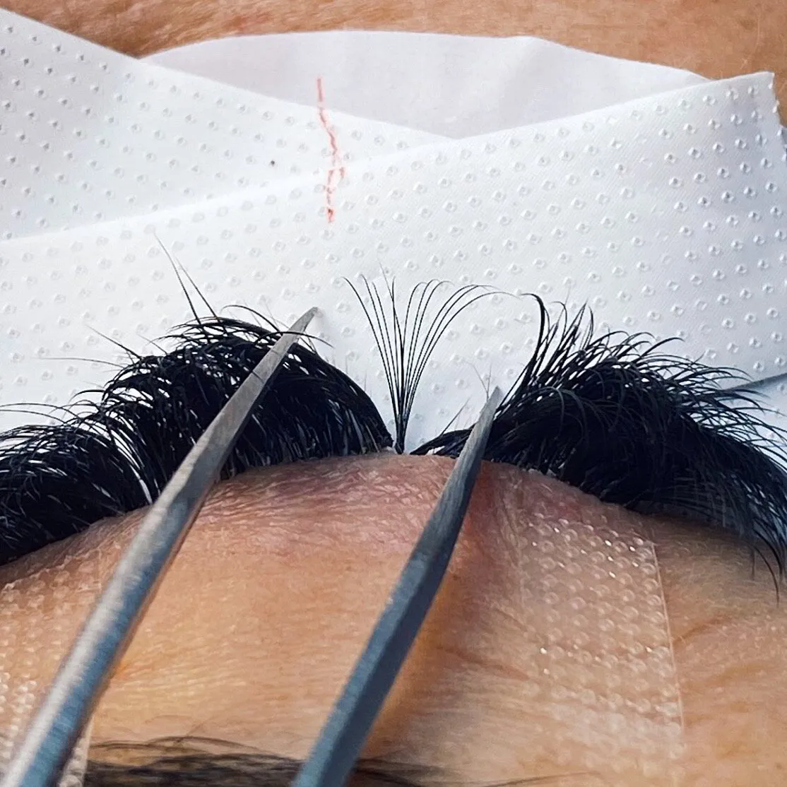 Lash artist's tweezers placing a handmade volume fan on a client's natural lashes
